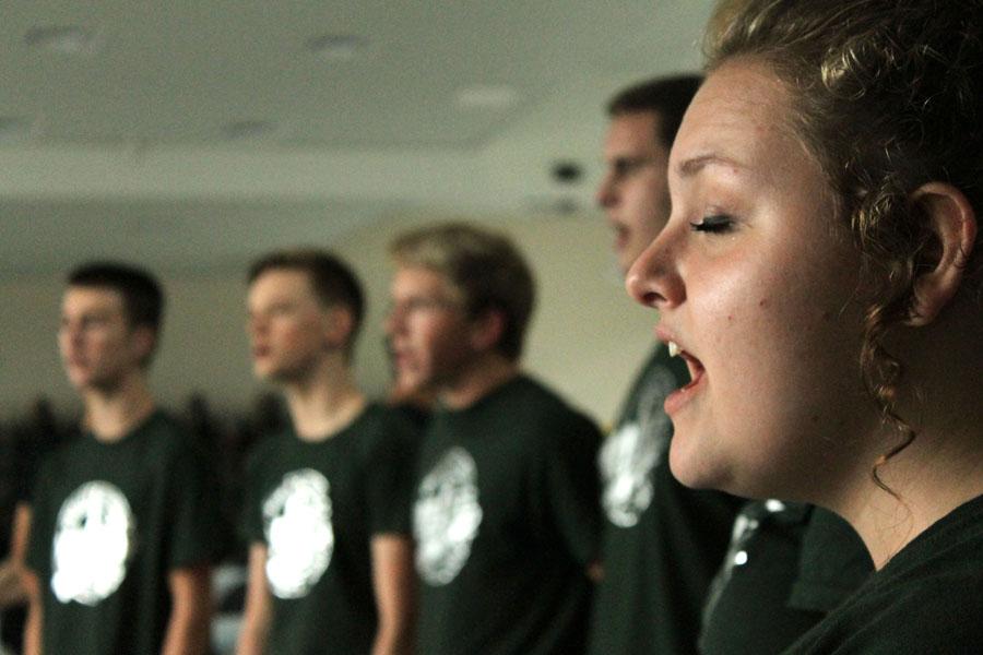 Choir performs at arts in the park